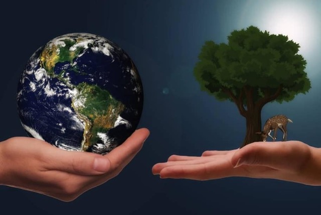 Mercoledì 5 giugno - Giornata Mondiale dell'Ambiente
